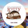 The Comforted Kitty gift card