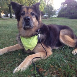 Archibald Field - This is the perp. I know. Rules are rules!