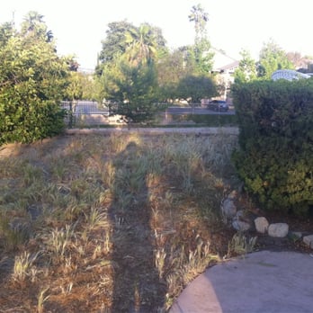 A-G Sod Farms - My front yard: Before A-G Sod Farm :( - Lawn Services Near Me - Nuevo, California A-G Sod Farms - My front yard: Before A-G Sod Farm :( - Lawn Services Near Me - Nuevo, California