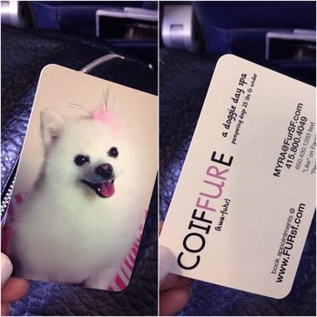 Coiffure - Yay! Our dog Lenisee made it on to one of Myra's business cards! Dogs smile when they're in loving hands. - Pet Groomers Near Me - San Francisco, California