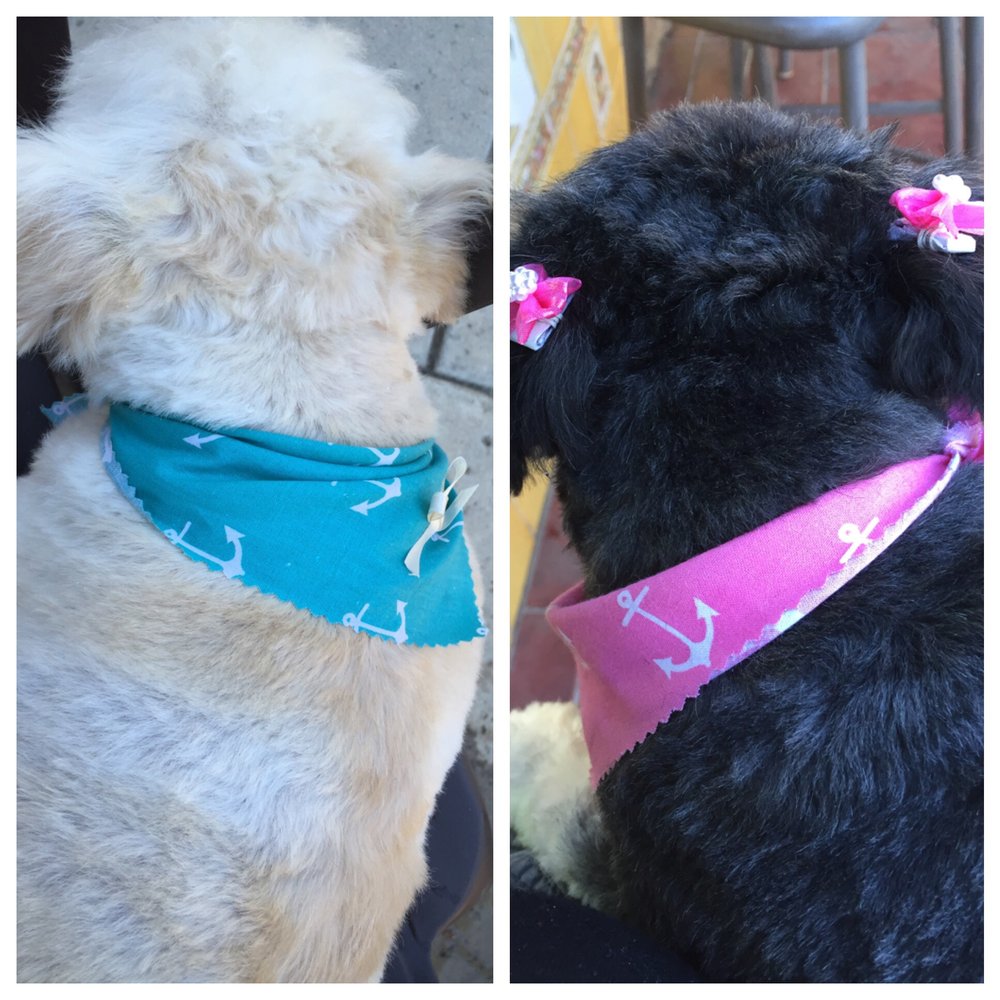 Puppy World - Bandanas and pretty bowes for my furry loved ones - Pet Stores Near Me - Corona, California Puppy World - Bandanas and pretty bowes for my furry loved ones - Pet Stores Near Me - Corona, California