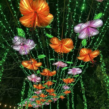 San Antonio Botanical Garden - Illuminate event trail - Botanical Gardens Near Me - San Antonio, Texas