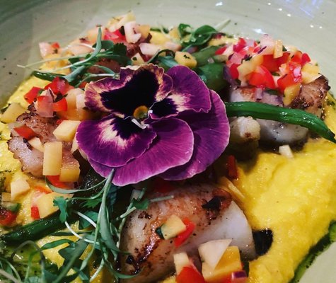 Tortuga y Chango by null