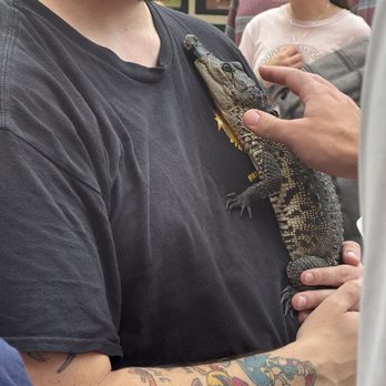 Charleston Riverdogs - Petting zoo baby alligator - Professional Sports Teams Near Me - Charleston, South Carolina Charleston Riverdogs - Petting zoo baby alligator - Professional Sports Teams Near Me - Charleston, South Carolina