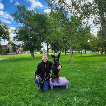 Sit Means Sit - Pet Training Near Me - Casper, Wyoming Sit Means Sit - Pet Training Near Me - Casper, Wyoming