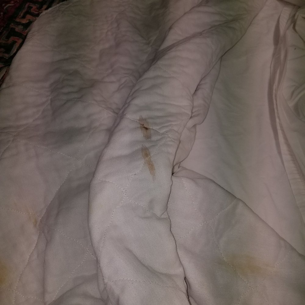 Idabel Inn - Blood found on comforter - Hotels Near Me - Idabel, Oklahoma Idabel Inn - Blood found on comforter - Hotels Near Me - Idabel, Oklahoma