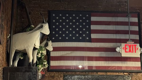 TWO GOATS & THE GOOSE by null