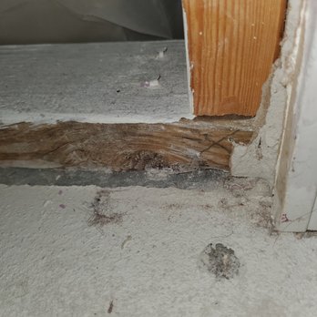 Marathon Fire Water Mold - The wood areas that were supposed to all be painted , were Not. Left with concrete floors throughout home. - Damage Restoration Near Me - Deltona, Florida Marathon Fire Water Mold - The wood areas that were supposed to all be painted , were Not. Left with concrete floors throughout home. - Damage Restoration Near Me - Deltona, Florida