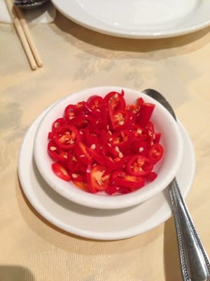 Four Seasons (Queensway) by null