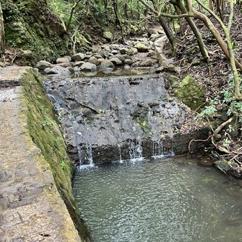 Lulumahu Falls - Small damn - Hiking Near Me - Honolulu, Hawaii Lulumahu Falls - Small damn - Hiking Near Me - Honolulu, Hawaii