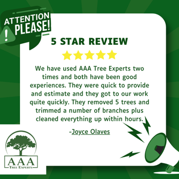 AAA Tree Experts - Tree Services Near Me - Tallahassee, Florida