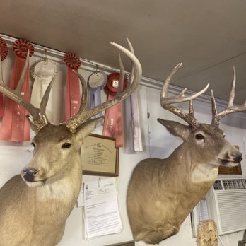 Pee Wee's Taxidermy - Deer and awards - Taxidermy Near Me Pee Wee's Taxidermy - Deer and awards - Taxidermy Near Me