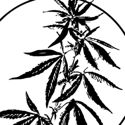 Cannabinoid Exchange