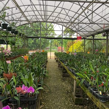 Soroa Orchids - Inside - Nurseries & Gardening Near Me - Homestead, Florida Soroa Orchids - Inside - Nurseries & Gardening Near Me - Homestead, Florida