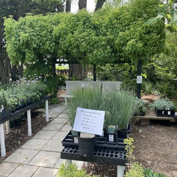 Lichtenfelt Nurseries - Nurseries & Gardening Near Me - Greer, South Carolina