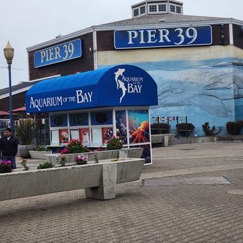 PIER 39 - Shopping Centers Near Me - San Francisco, California