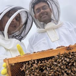 Astor Apiaries