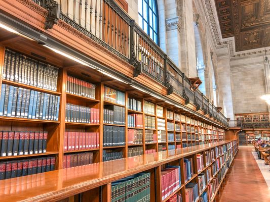New York Public Library - Stephen A. Schwarzman Building by null