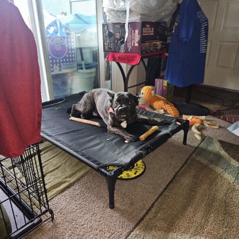 JPK9 - Pet Training Near Me JPK9 - Pet Training Near Me