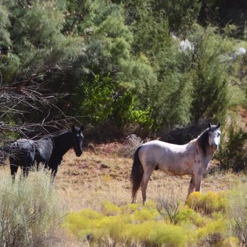 New Mexico Jeep Tours - Tours Near Me New Mexico Jeep Tours - Tours Near Me