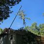 Photo of AC Tree