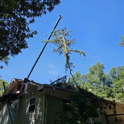 AC Tree