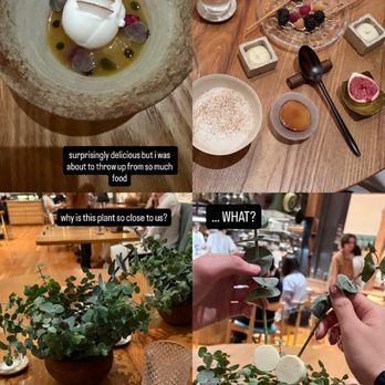 Birdsong - New American Near Me - San Francisco, California