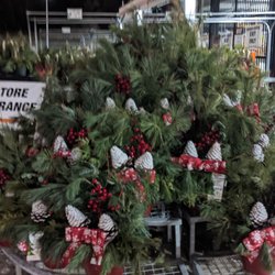 The Home Depot - Blurry Christmas plant picture (it was dark)