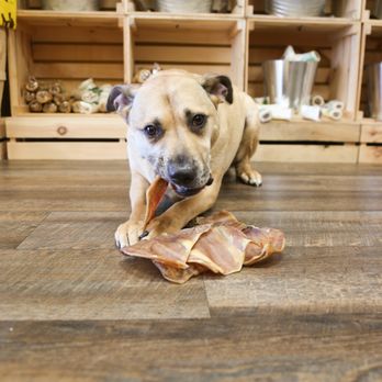 Hollywood Feed - Pet Stores Near Me - Asheville, North Carolina Hollywood Feed - Pet Stores Near Me - Asheville, North Carolina