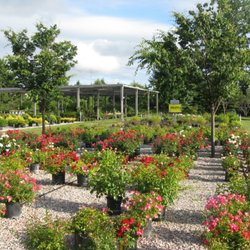 Four Season Nursery