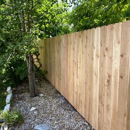 Back fence. They took care not to tear up the fig tree.
