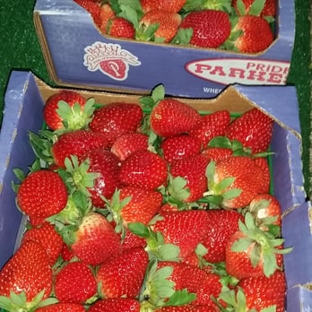 Shannon's Produce - Fruits & Veggies Near Me - Zephyrhills, Florida Shannon's Produce - Fruits & Veggies Near Me - Zephyrhills, Florida