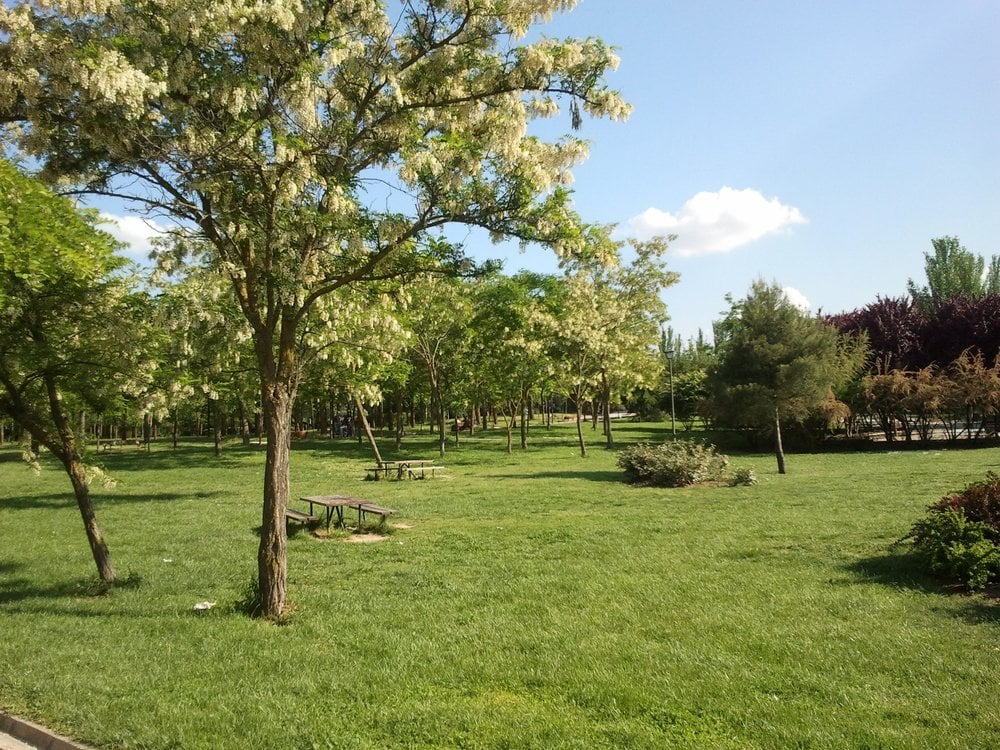 Parque de Las Cruces