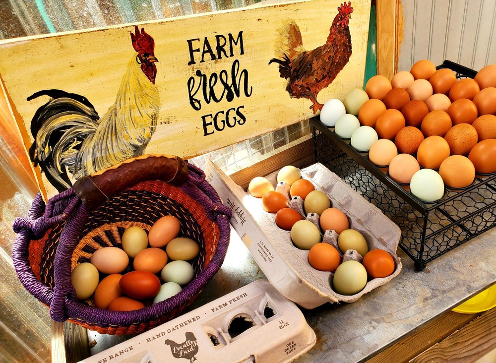 Mad Mandarins - beekeeping in Penryn, CA