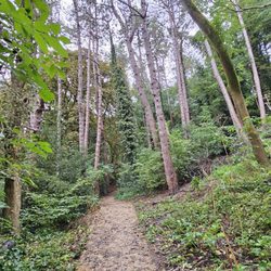 Alexandra Park