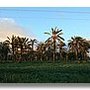 Photo of Bar Las Palmeras