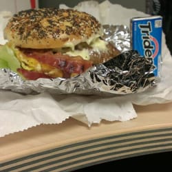 Honey Dip Donuts - Joe's special on an everything bagel. Height reference.