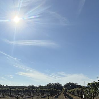 Perissos Vineyard and Winery - Wineries Near Me - Burnet, Texas Perissos Vineyard and Winery - Wineries Near Me - Burnet, Texas