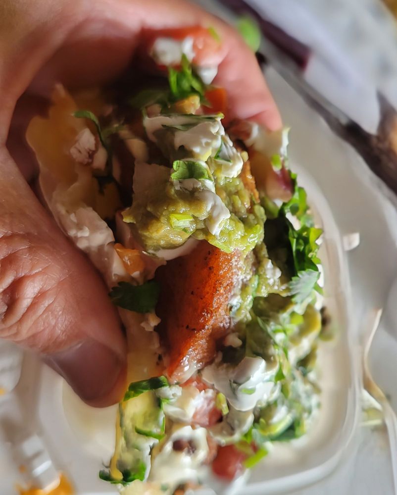 Xolo Taqueria