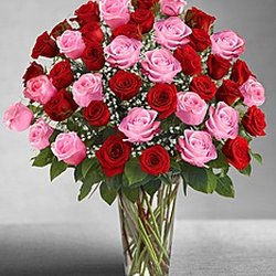 Punta Gorda Florist