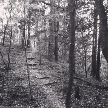 Nags Head Woods Ecological Preserve - Parks Near Me - Kill Devil Hills, North Carolina