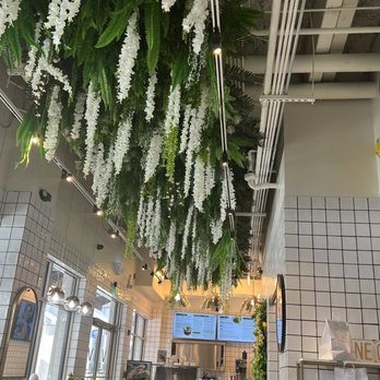 Vale Healthy Kitchen - Inside decorations - Acai Bowls Near Me - Miami, Florida Vale Healthy Kitchen - Inside decorations - Acai Bowls Near Me - Miami, Florida