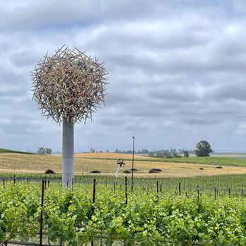 The Donum Estate - Wineries Near Me - Sonoma, California The Donum Estate - Wineries Near Me - Sonoma, California