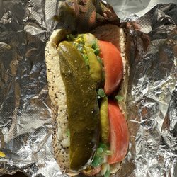 The Salty Seagull - Windy City Dog