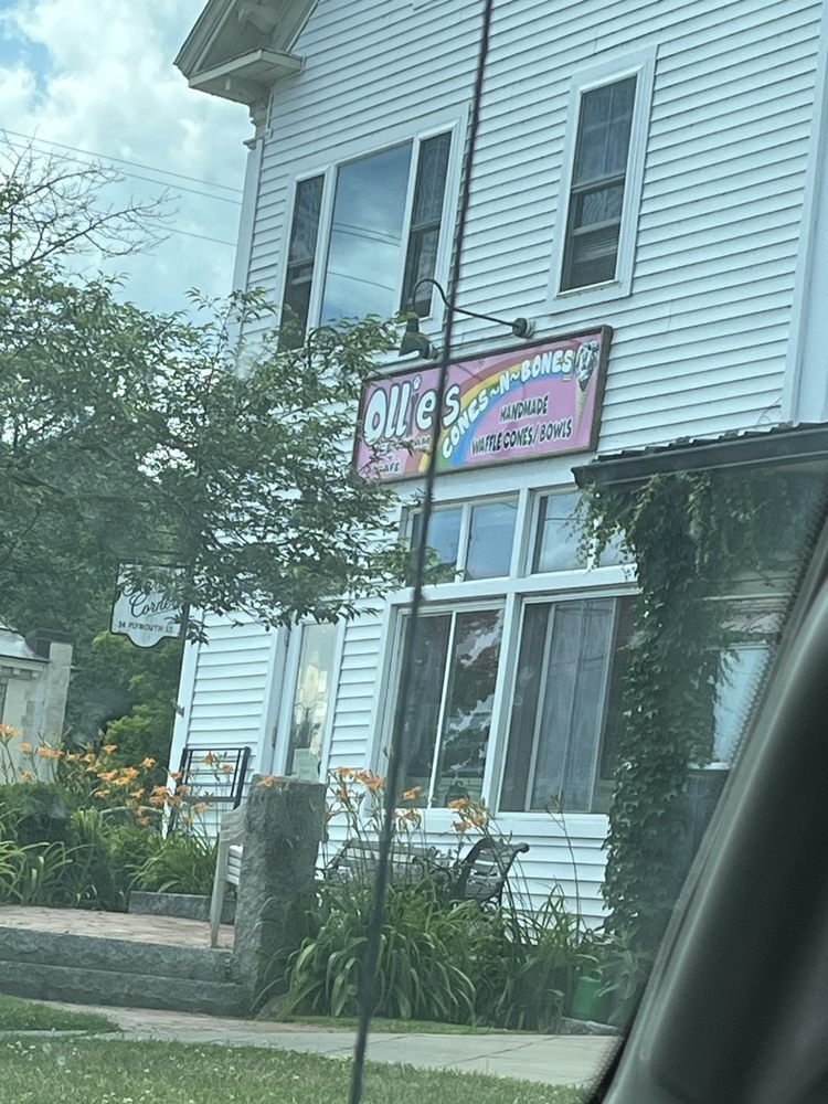 Ollie's Cones-N-Bones