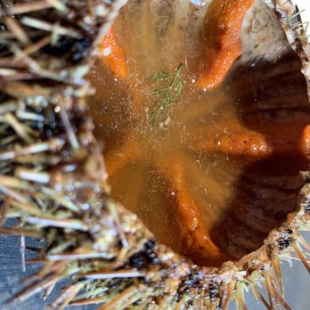 Asador Etxebarri - Sea Urchin & pumpkin juice - Basque Near Me - Atxondo, BI