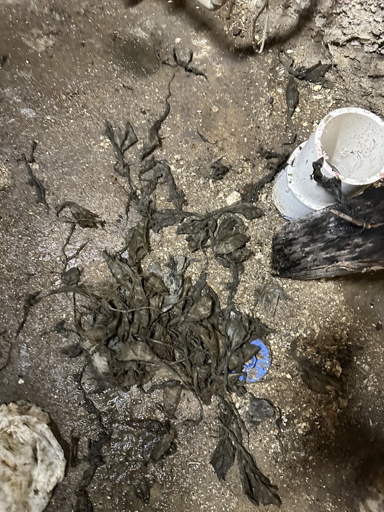 Slide of The Drain Guys