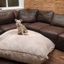 Sunset Canyon Veterinary Clinic