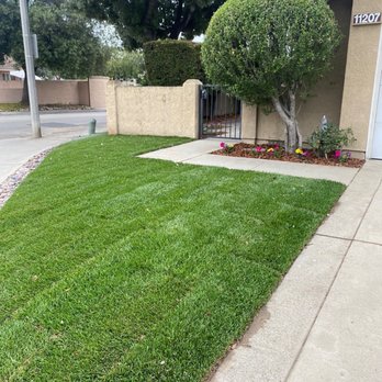 TLS Landscaping - Landscaping Near Me TLS Landscaping - Landscaping Near Me