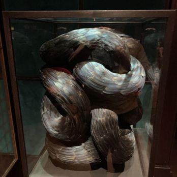 The Library - Sculpture made from feathers near the host stand. - New American Near Me - Las Vegas, Nevada The Library - Sculpture made from feathers near the host stand. - New American Near Me - Las Vegas, Nevada